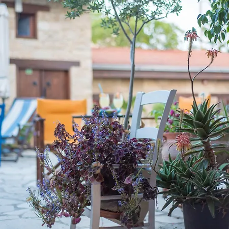 Apartament Niki's House