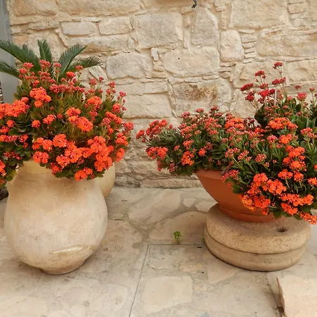 Niki's House * Limassol