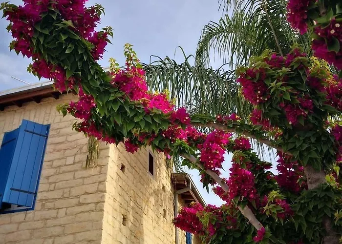 Niki's House Limisso