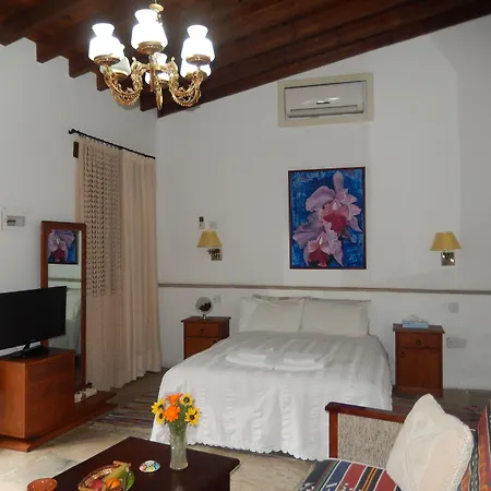 尼可之家酒店 * 利马索尔